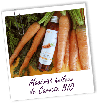 Carotte bio