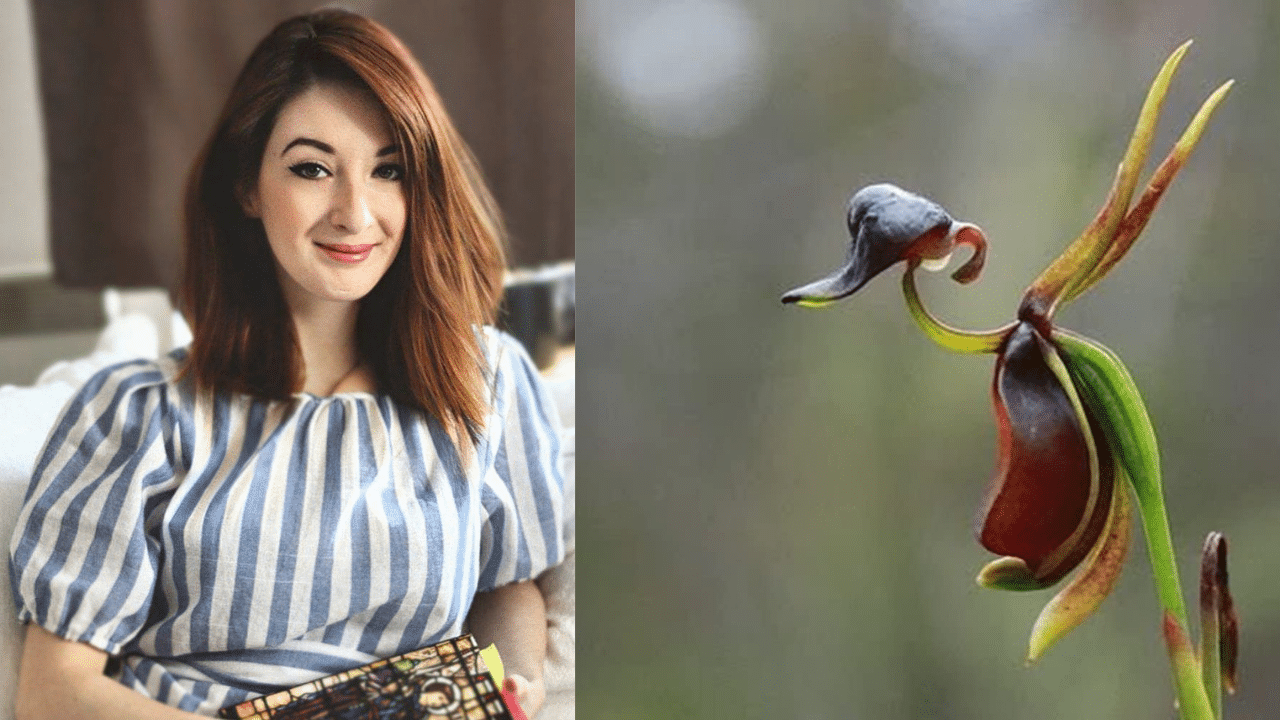 Pauline, artiste délicate et passionnée (portrait de Caleana Major)